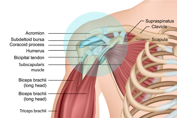 Frozen Shoulder Treatment by Dr. Jigar Desai