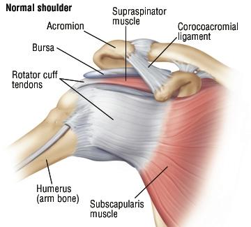 Shoulder Arthroscopy Consultation with Dr. Jigar Desai